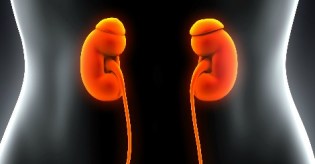 Kidneys_GU Blog_FB